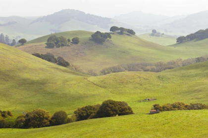 Picture of USA, CALIFORNIA, OLEMA LANDSCAPE OF FARM FIELDS