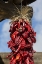 Picture of USA, NEW MEXICO, PINOS ALTOS RISTAS HUNG TO DRY