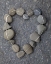 Picture of USA, WASHINGTON ROCKS ARRANGED IN A HEART SHAPE
