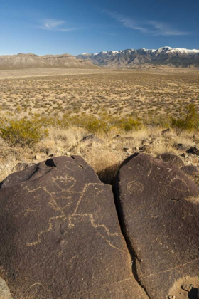 Picture of NEW MEXICO, THREE RIVERS PETROGLYPH ON ROCK