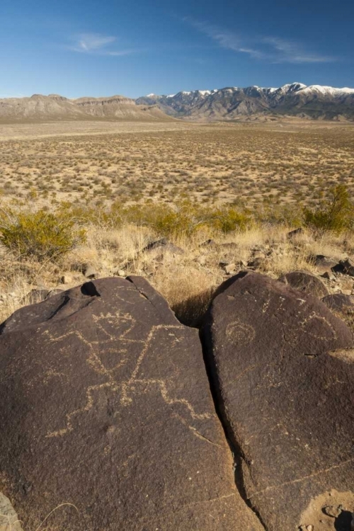 Picture of NEW MEXICO, THREE RIVERS PETROGLYPH ON ROCK