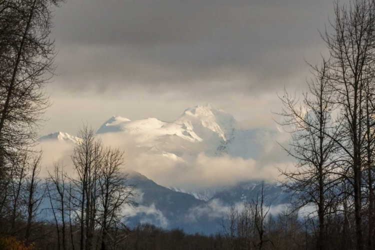 Picture of ALASKA, CHILKAT RIVER VALLEY SNOWY MOUNTAINS