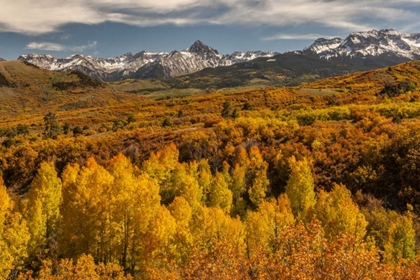 Picture of COLORADO DALLAS DIVIDE IN SAN JUAN MOUNTAINS