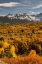 Picture of COLORADO DALLAS DIVIDE IN SAN JUAN MOUNTAINS