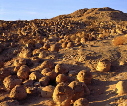 Picture of CALIFORNIA, ANZA-BORREGO DESERT PUMPKIN PATCH