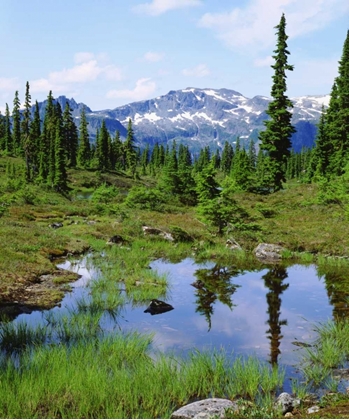 Picture of CANADA, BC, VANCOUVER A TARN IN THE COUNTRY