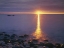 Picture of ME, ACADIA NP,Ÿ SUNRISE ON FOG AND SHORE ROCKS