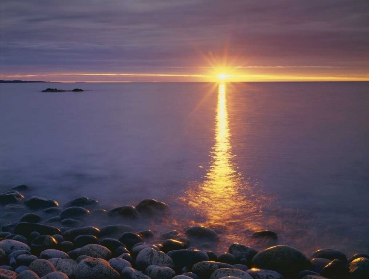 Picture of ME, ACADIA NP,Ÿ SUNRISE ON FOG AND SHORE ROCKS