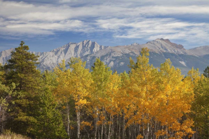 Picture of CANADA, ALBERTA, JASPER NP AUTUMN LANDSCAPE