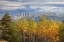Picture of CANADA, ALBERTA, JASPER NP AUTUMN LANDSCAPE