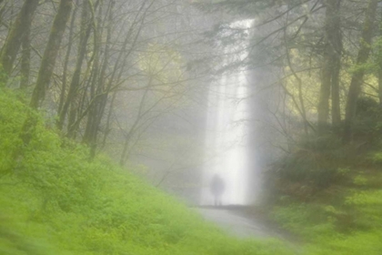 Picture of OR, COLUMBIA GORGE SHROUDED LATOURELL FALLS