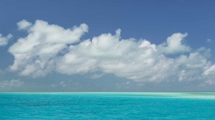 Picture of BAHAMAS, EXUMA ISLAND SEASCAPE OF AQUA OCEAN