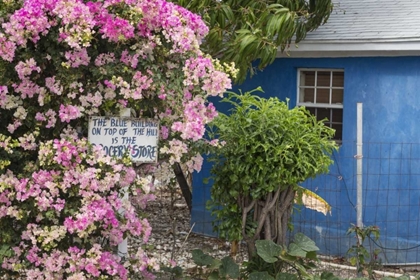 Picture of BAHAMAS, EXUMA ISLAND BOUGAINVILLEA AND SIGN