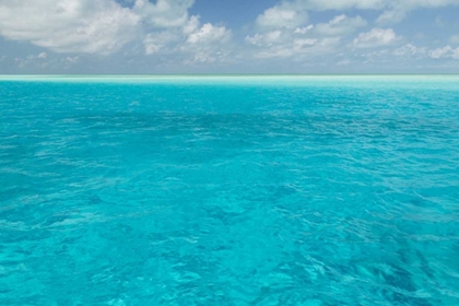 Picture of BAHAMAS, EXUMA ISLAND SEASCAPE OF AQUA OCEAN