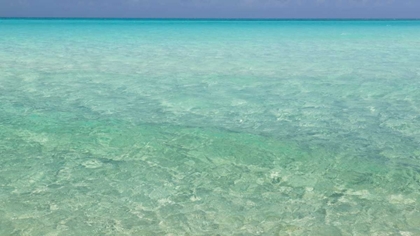 Picture of BAHAMAS, EXUMA ISLAND SEASCAPE OF SHROUD CAY