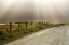 Picture of USA, CALIFORNIA COUNTRY ROAD LIT BY SUN RAYS