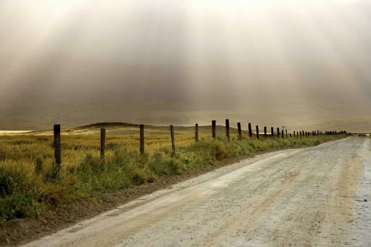 Picture of USA, CALIFORNIA COUNTRY ROAD LIT BY SUN RAYS