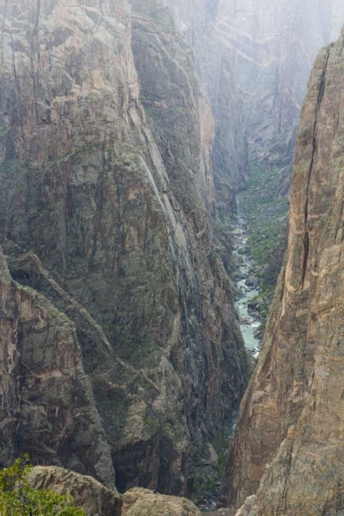 Picture of COLORADO, GUNNISON NP SCENIC IN BLACK CANYON