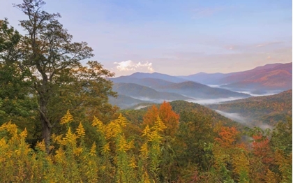 Picture of USA, NORTH CAROLINA BLACK MOUNTAINS OVERLOOK