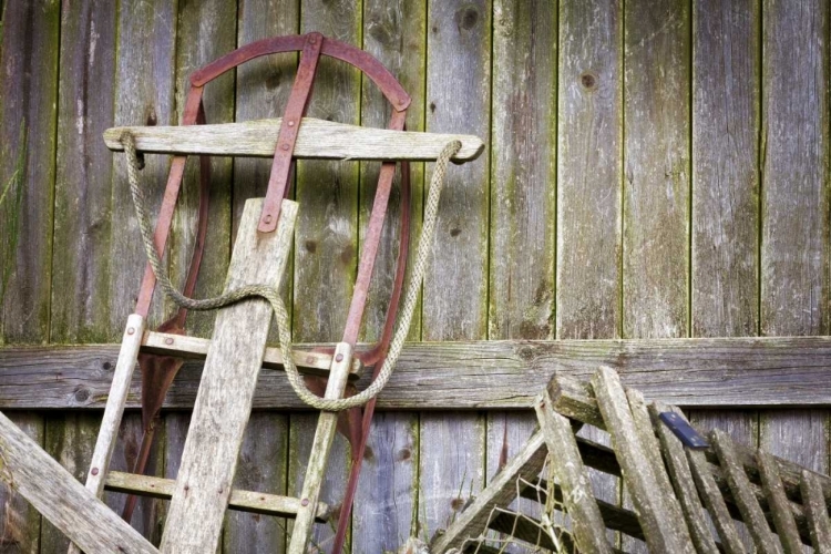 Picture of USA, WASHINGTON, BELFAIR OLD SLED IN STORAGE