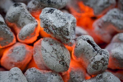 Picture of WASHINGTON, SEABECK CLOSE-UP OF HOT CHARCOAL