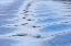 Picture of USA, ALASKA, ENDICOTT ARM BOAT WAKE PATTERNS