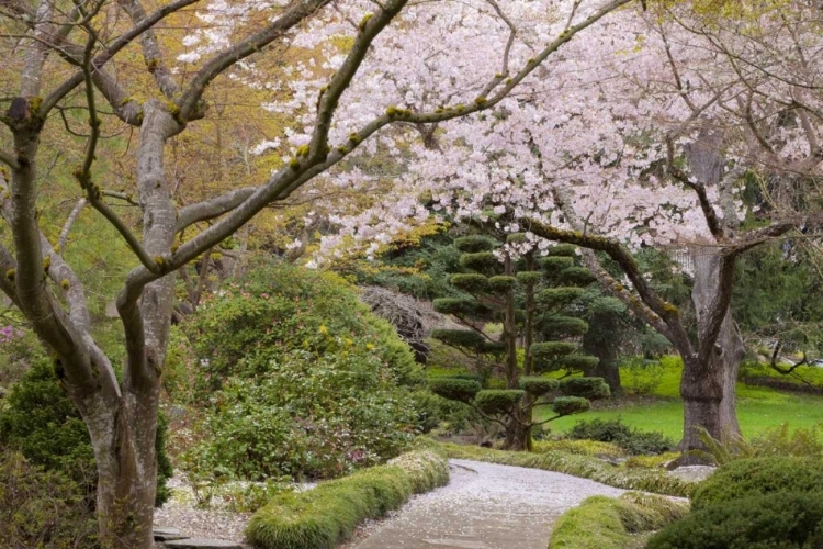 Picture of OREGON, ASHLAND SPRING SCENIC IN LITHIA PARK