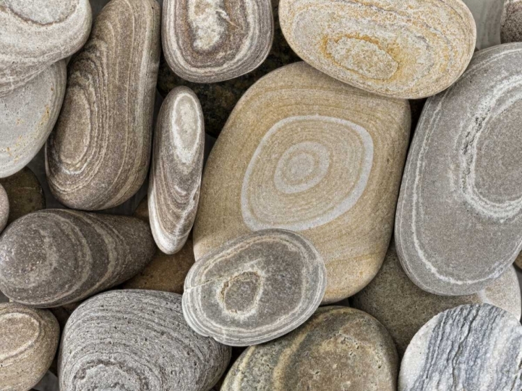 Picture of WASHINGTON, SEABECK CLOSE-UP OF BEACH STONES