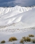 Picture of OR, JOHN DAY FOSSIL BEDS NM THE PAINTED HILLS