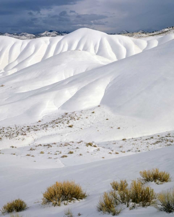 Picture of OR, JOHN DAY FOSSIL BEDS NM THE PAINTED HILLS