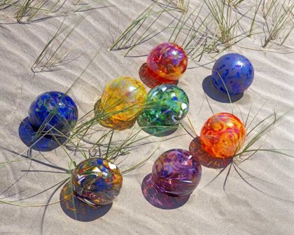 Picture of USA, OREGON COLORFUL GLASS FLOATS ON SAND DUNE
