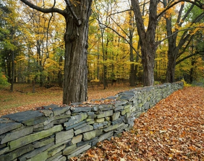 Picture of NEW YORK, GREENE COUNTY HAND-BUILT STONE FENCE