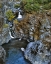 Picture of OREGON STAIR CREEK FALLS ALONG THE ROGUE RIVER