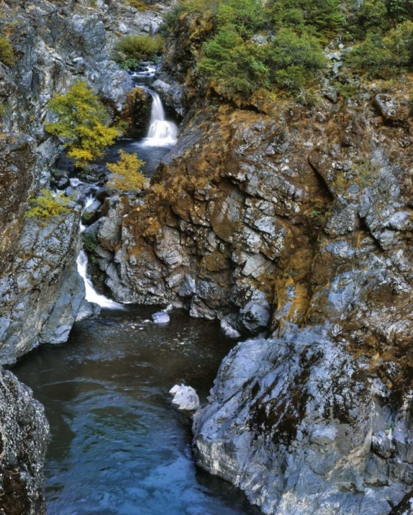 Picture of OREGON STAIR CREEK FALLS ALONG THE ROGUE RIVER