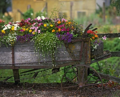 Picture of OR, PORTLAND FARM SPREADER FILLED WITH FLOWERS