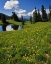 Picture of CO, PARADISE DIVIDE VIEW OF WHETSTONE MOUNTAIN
