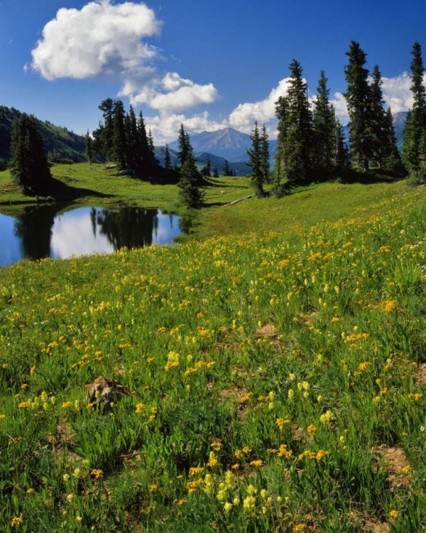 Picture of CO, PARADISE DIVIDE VIEW OF WHETSTONE MOUNTAIN