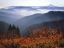 Picture of WA, COLUMBIA GORGE, MOUNT HOOD WITH HUCKLEBERRY