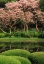 Picture of JAPAN, TOKYO IMPERIAL PALACE EAST GARDENS