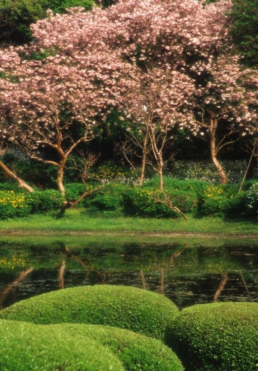 Picture of JAPAN, TOKYO IMPERIAL PALACE EAST GARDENS