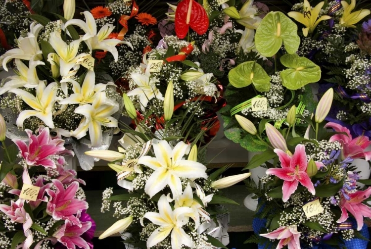 Picture of ESTONIA, TALLINN FLOWERS FOR SALE AT MARKET