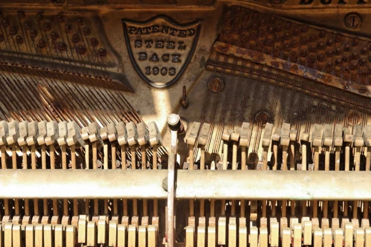 Picture of OR, SHANIKO INSIDE OLD PIANO ON MAIN STREET