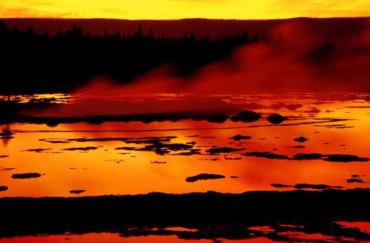 Picture of WY, YELLOWSTONE VAPOR FLOWS FROM GRAND GEYSER