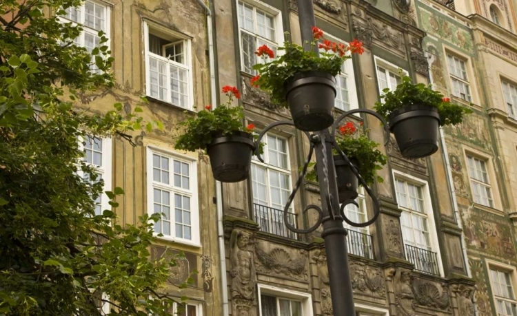 Picture of POLAND, GDANSK FLOWER POTS DECORATE BUILDINGS