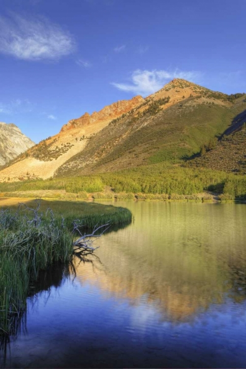 Picture of CALIFORNIA, BISHOP NORTH LAKE AT SUNRISE