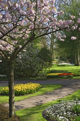 Picture of NETHERLANDS, LISSE GARDEN PARK IN SPRING