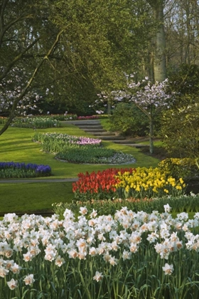 Picture of NETHERLANDS, LISSE MANICURED GARDEN BEDS