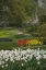 Picture of NETHERLANDS, LISSE MANICURED GARDEN BEDS