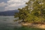 Picture of JAPAN AMANOHASHIDATE IN KYOTO PREFECTURE