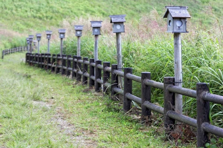 Picture of JAPAN, NARA SONI PLATEAU WOODEN LANTERNS